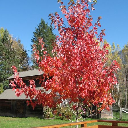 Birch Meadows Lodge B&B Fernie Eksteriør billede