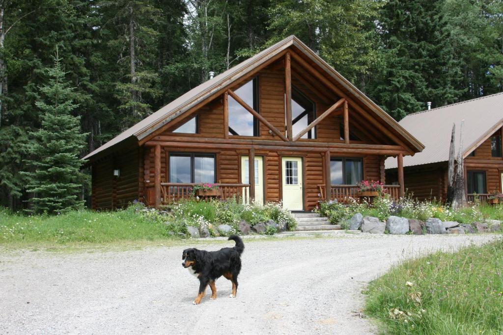 Birch Meadows Lodge B&B Fernie Eksteriør billede
